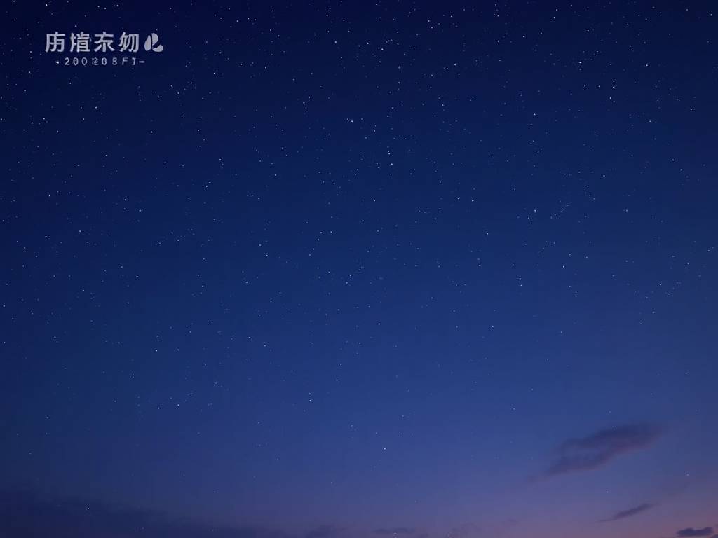 学生书房适合放什么植物