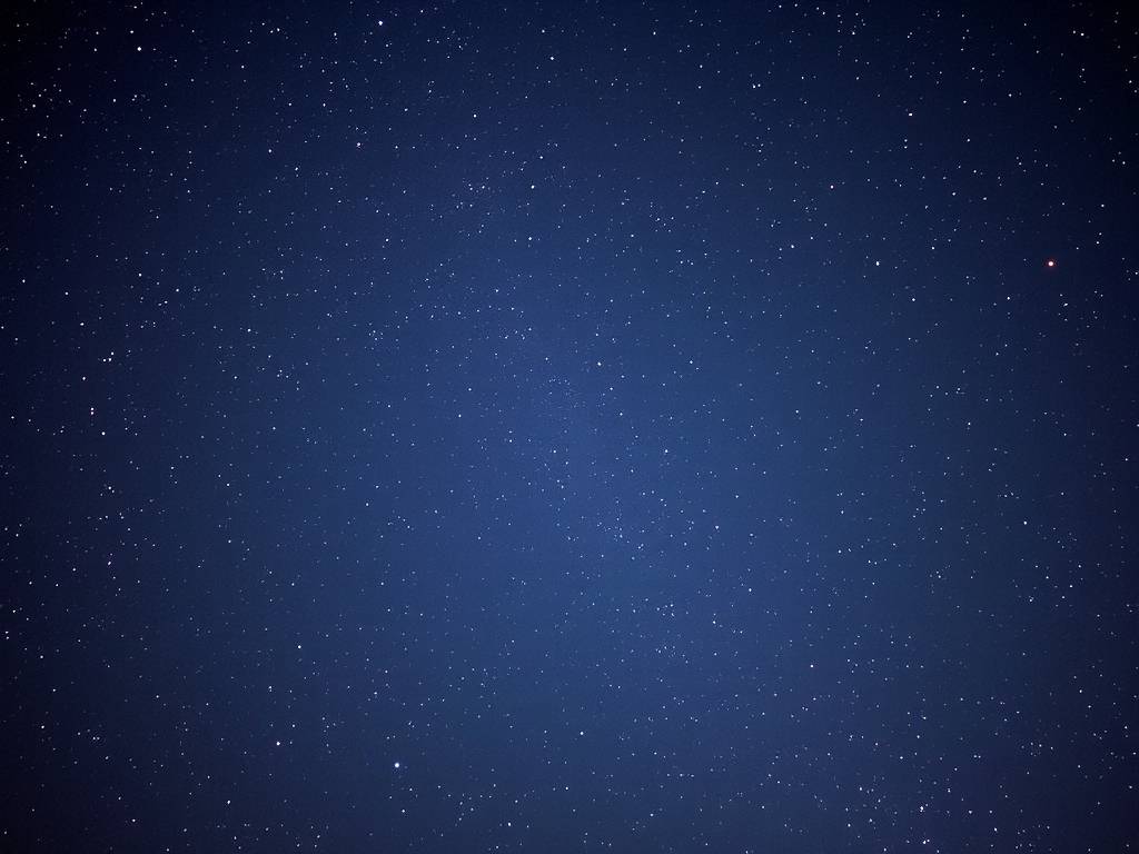 什么星座最适合养什么动物