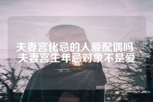 夫妻宫化忌的人爱配偶吗 夫妻宫生年忌对象不是爱