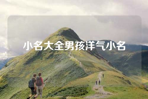 小名大全男孩洋气小名