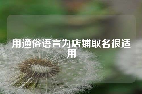 用通俗语言为店铺取名很适用