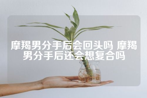 摩羯男分手后会回头吗 摩羯男分手后还会想复合吗