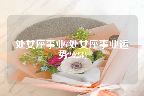 处女座事业(处女座事业运势2023)