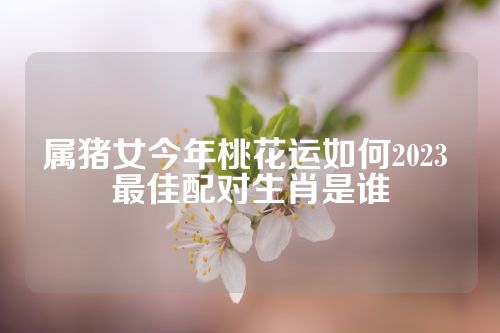 属猪女今年桃花运如何2023 最佳配对生肖是谁