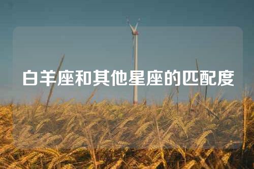 白羊座和其他星座的匹配度