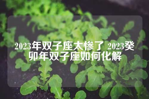 2023年双子座太惨了 2023癸卯年双子座如何化解