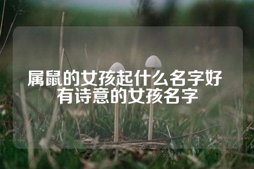 属鼠的女孩起什么名字好 有诗意的女孩名字