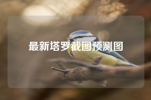 最新塔罗截图预测图