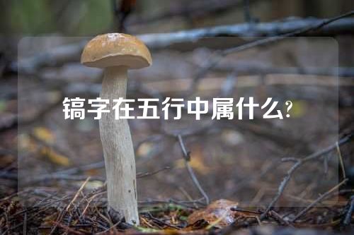 镐字在五行中属什么?