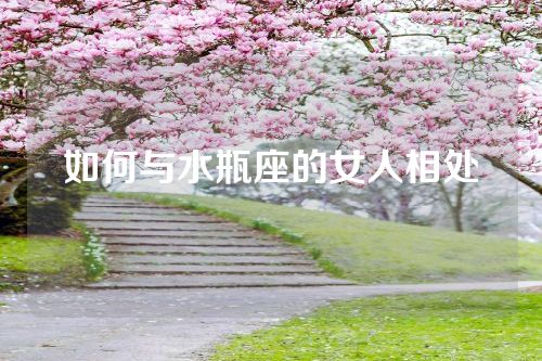 如何与水瓶座的女人相处