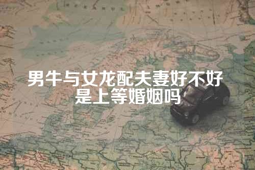 男牛与女龙配夫妻好不好 是上等婚姻吗