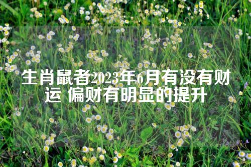生肖鼠者2023年6月有没有财运 偏财有明显的提升