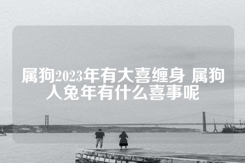 属狗2023年有大喜缠身 属狗人兔年有什么喜事呢