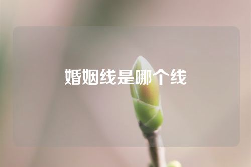 婚姻线是哪个线