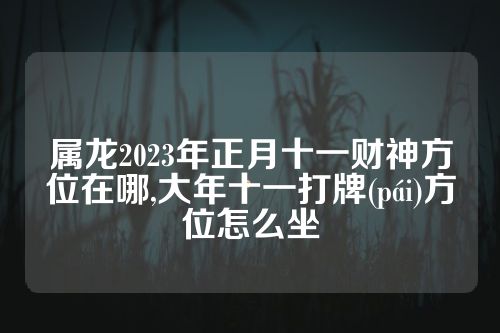 属龙2023年正月十一财神方位在哪,大年十一打牌(pái)方位怎么坐
