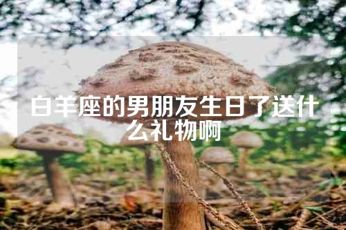 白羊座的男朋友生日了送什么礼物啊