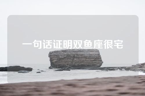 一句话证明双鱼座很宅