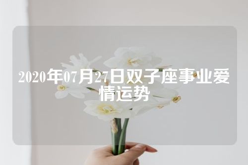 2020年07月27日双子座事业爱情运势