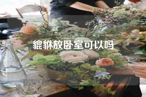 貔貅放卧室可以吗