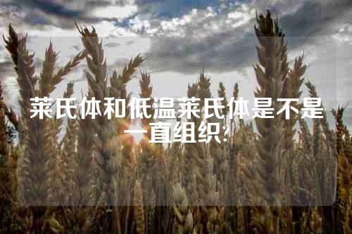 莱氏体和低温莱氏体是不是一直组织?