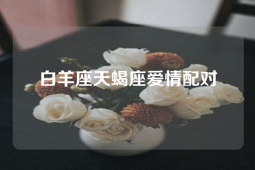 白羊座天蝎座爱情配对