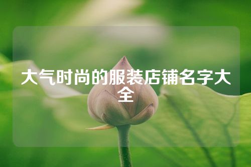 大气时尚的服装店铺名字大全