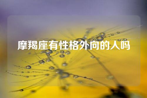 摩羯座有性格外向的人吗