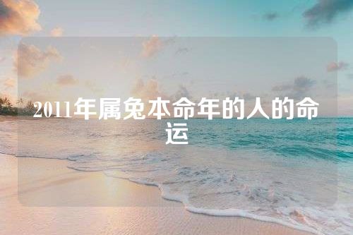 2011年属兔本命年的人的命运