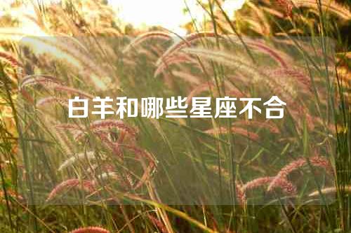 白羊和哪些星座不合