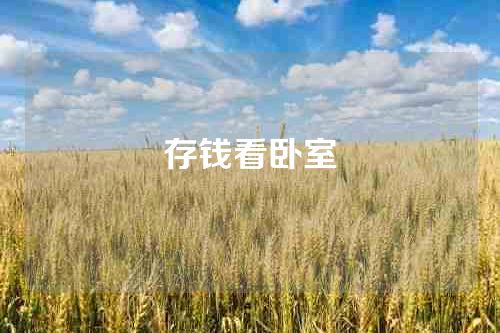 存钱看卧室
