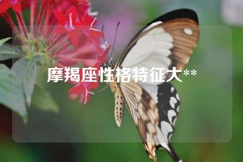 摩羯座性格特征大**