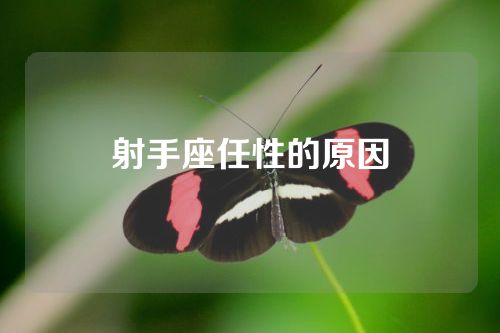 射手座任性的原因