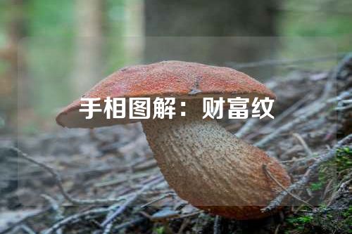 手相图解：财富纹