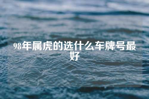 98年属虎的选什么车牌号最好