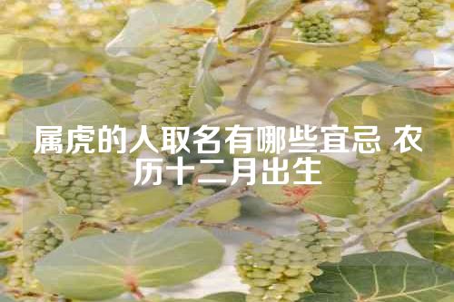 属虎的人取名有哪些宜忌 农历十二月出生