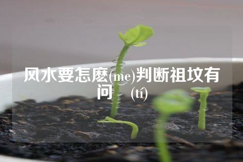 风水要怎麽(me)判断祖坟有问題(tí)