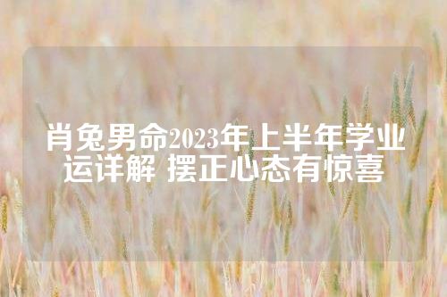 肖兔男命2023年上半年学业运详解 摆正心态有惊喜