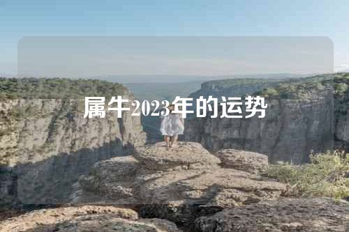 属牛2023年的运势