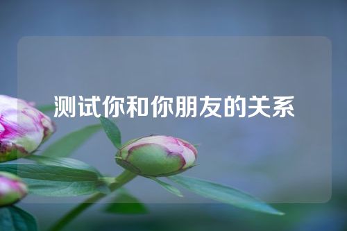 测试你和你朋友的关系