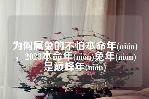 为何属兔的不怕本命年(nián)，2023本命年(nián)兔年(nián)是巅峰年(nián)