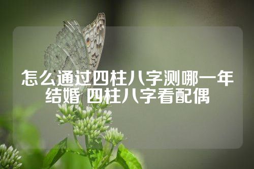 怎么通过四柱八字测哪一年结婚 四柱八字看配偶