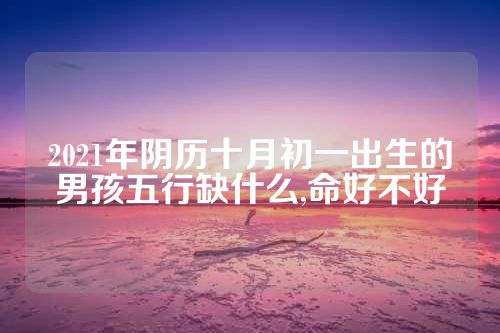 2021年阴历十月初一出生的男孩五行缺什么,命好不好