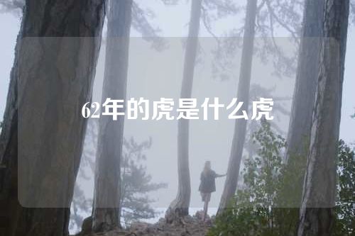 62年的虎是什么虎