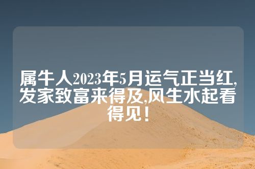 属牛人2023年5月运气正当红,发家致富来得及,风生水起看得见！