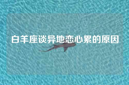 白羊座谈异地恋心累的原因