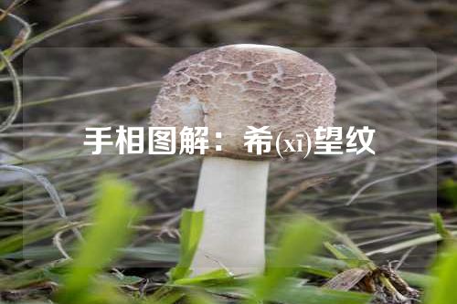 手相图解：希(xī)望纹