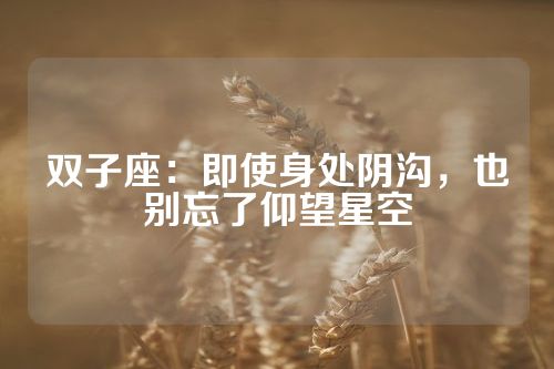 双子座：即使身处阴沟，也别忘了仰望星空
