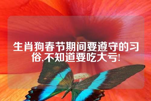 生肖狗春节期间要遵守的习俗,不知道要吃大亏!