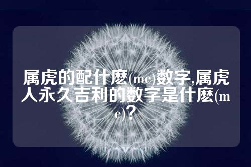 属虎的配什麽(me)数字,属虎人永久吉利的数字是什麽(me)？