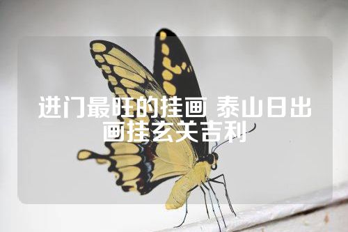 进门最旺的挂画 泰山日出画挂玄关吉利